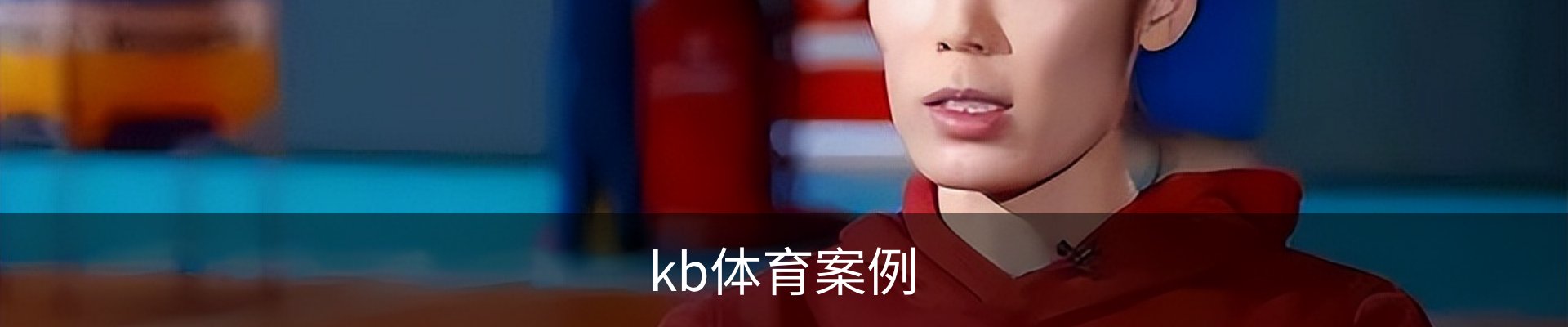 kb体育案例